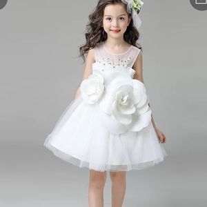 Sir❤️SA sleeveless white lace/lining dress